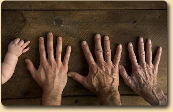 Hands